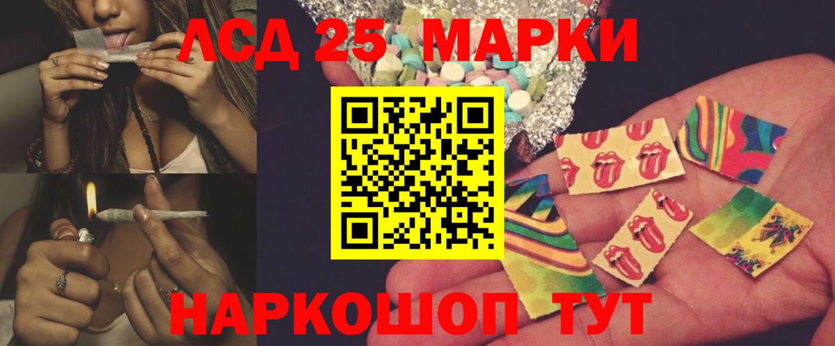 Лесной  blacksprut   Вход с VPN  Лсд 25 экстази кислота 