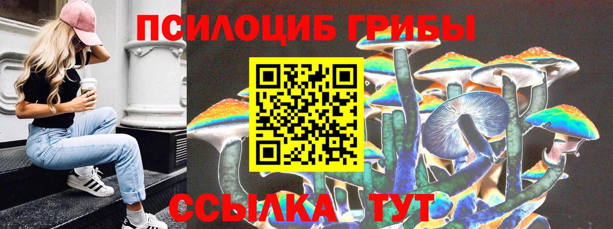 Лесной  Псилоцибиновые грибы GOLDEN TEACHER  Галлюциногенные грибы Magic Shrooms  Вход с VPN 